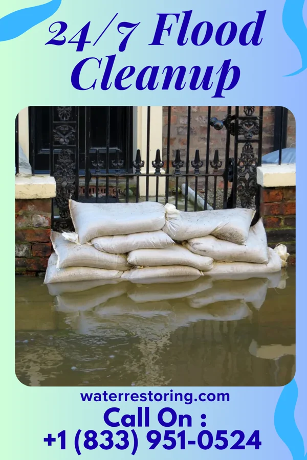 24/7 Flood Cleanup in Dundee, MI