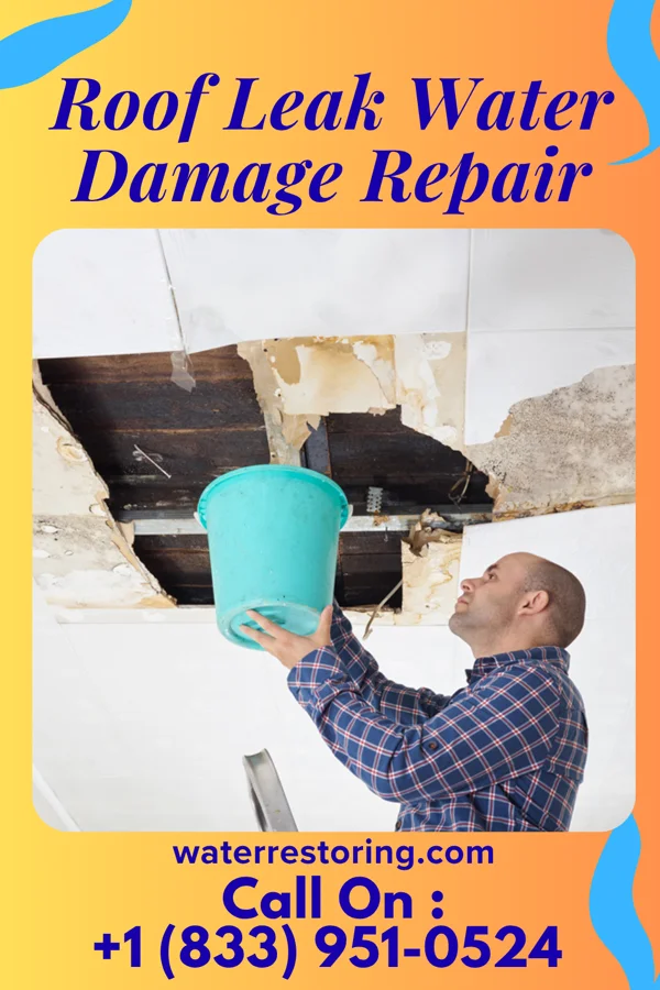 Roof Leak Water Damage Repair in Dundee, MI